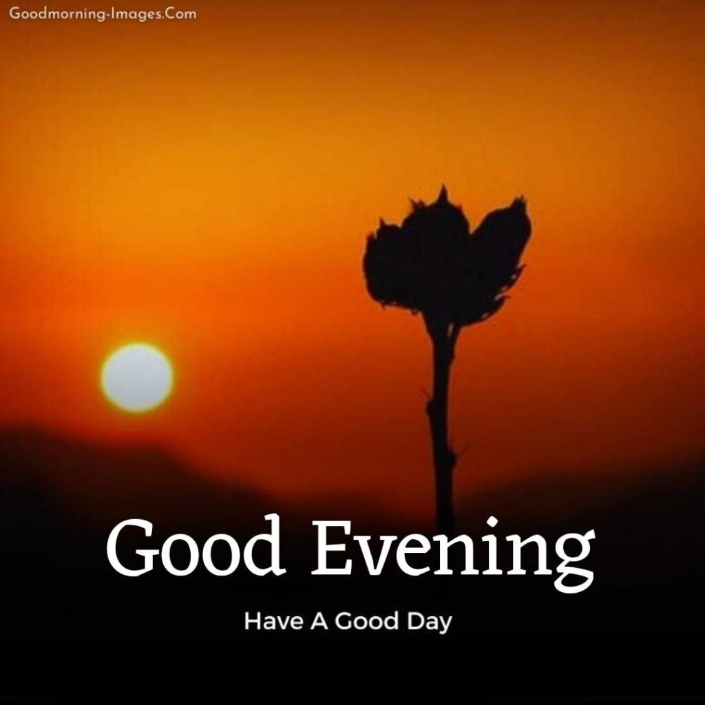 Beautiful Good Evening HD Images