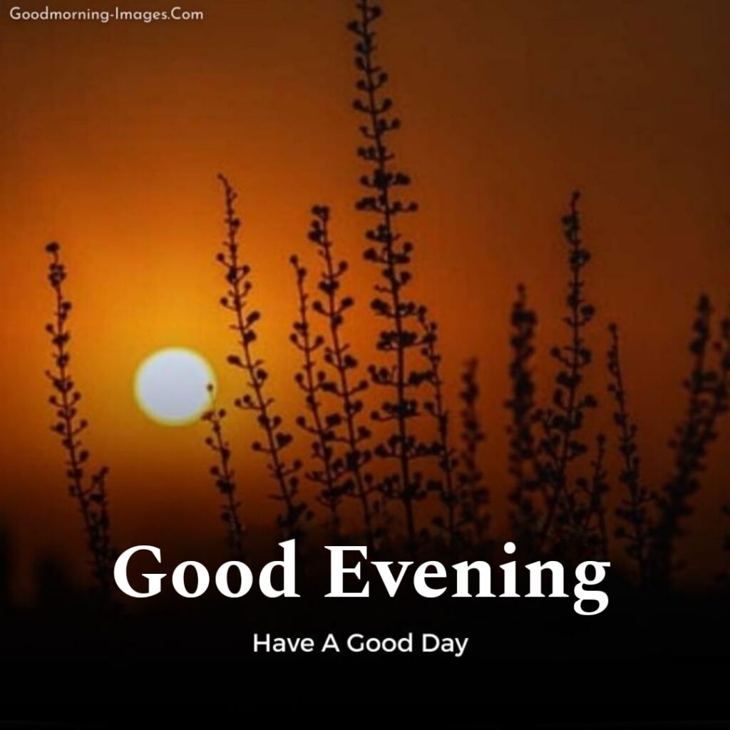 Beautiful Good Evening Images