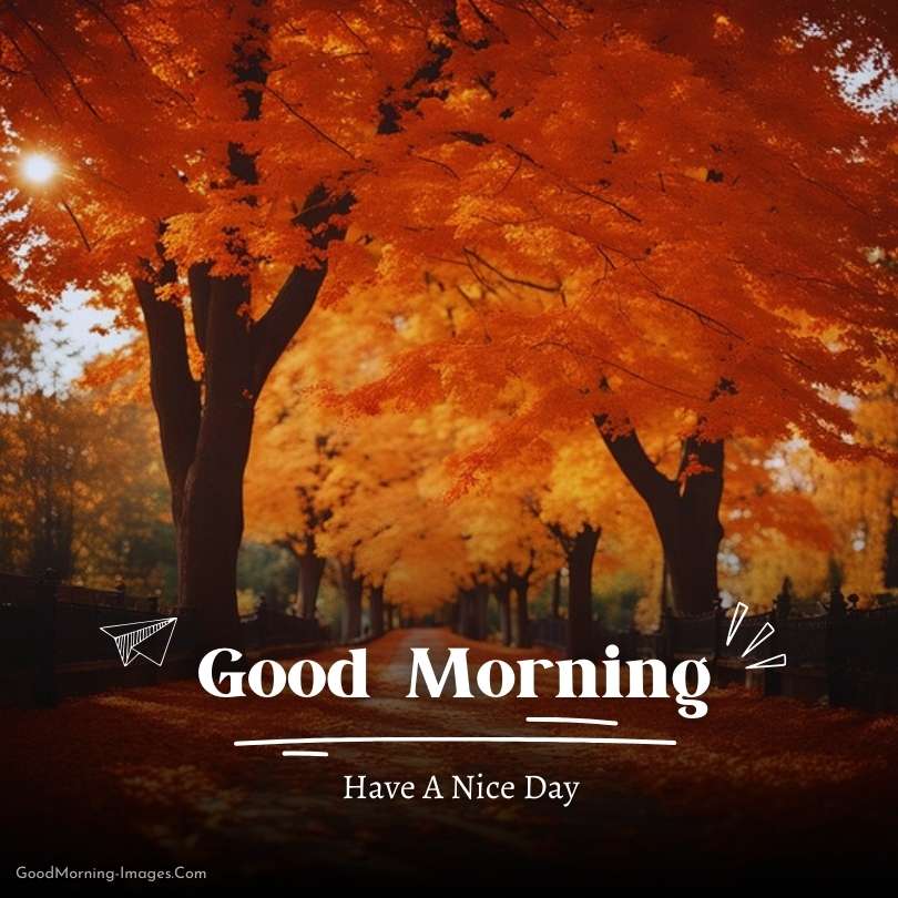 Good Morning Autumn HD Pictures