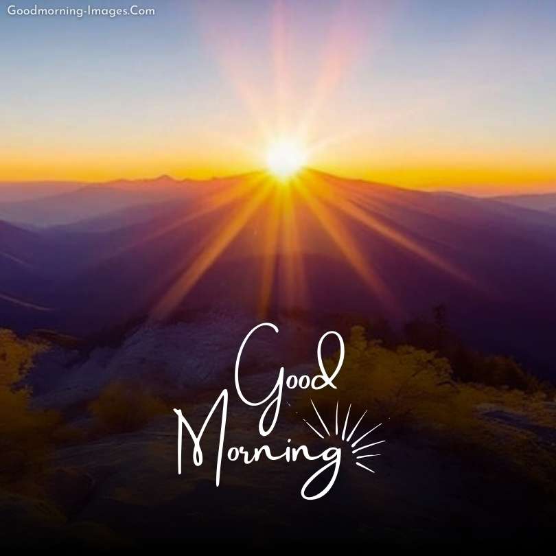 Beautiful Lovely Morning sunshine Images