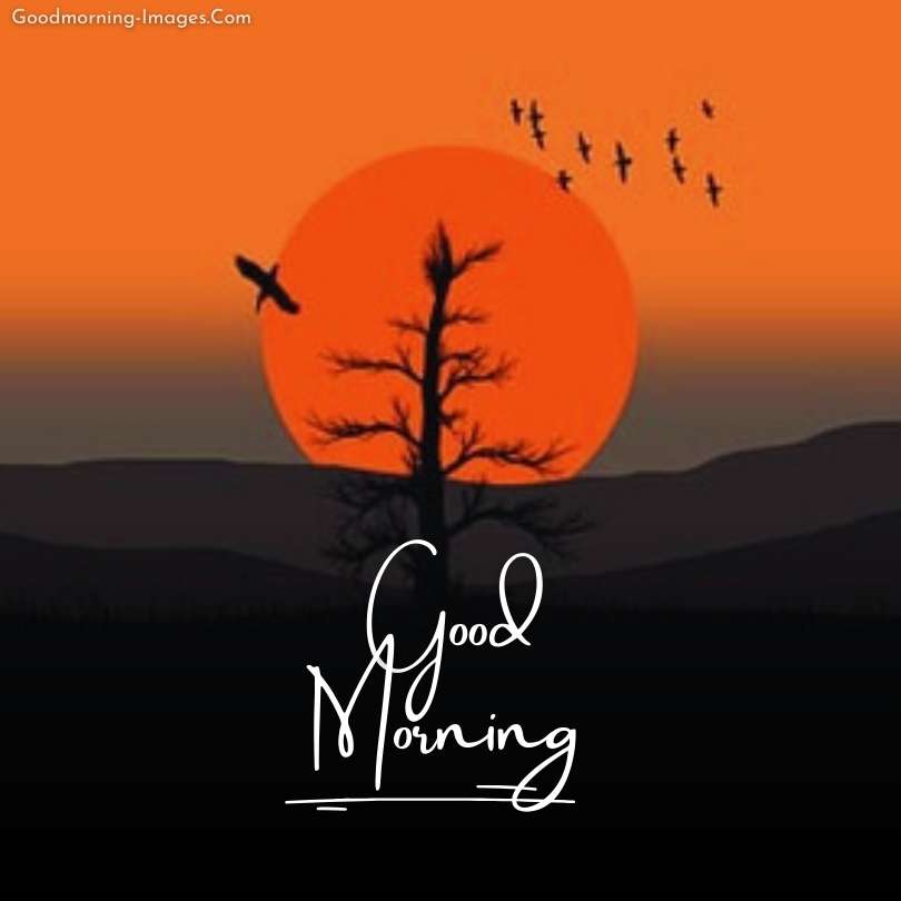Lovely Morning Sunrise Images