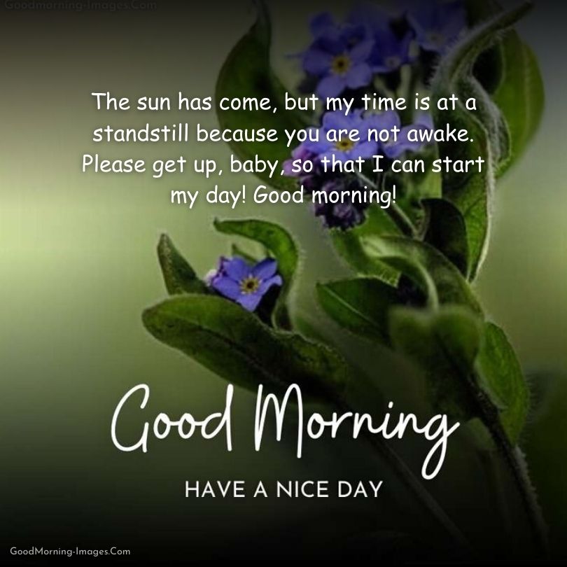 Good Morning Messages Images