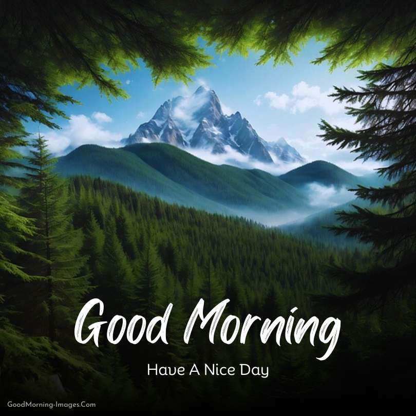 Good Morning Nature View Images