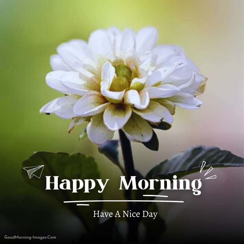 Happy Morning HD Images