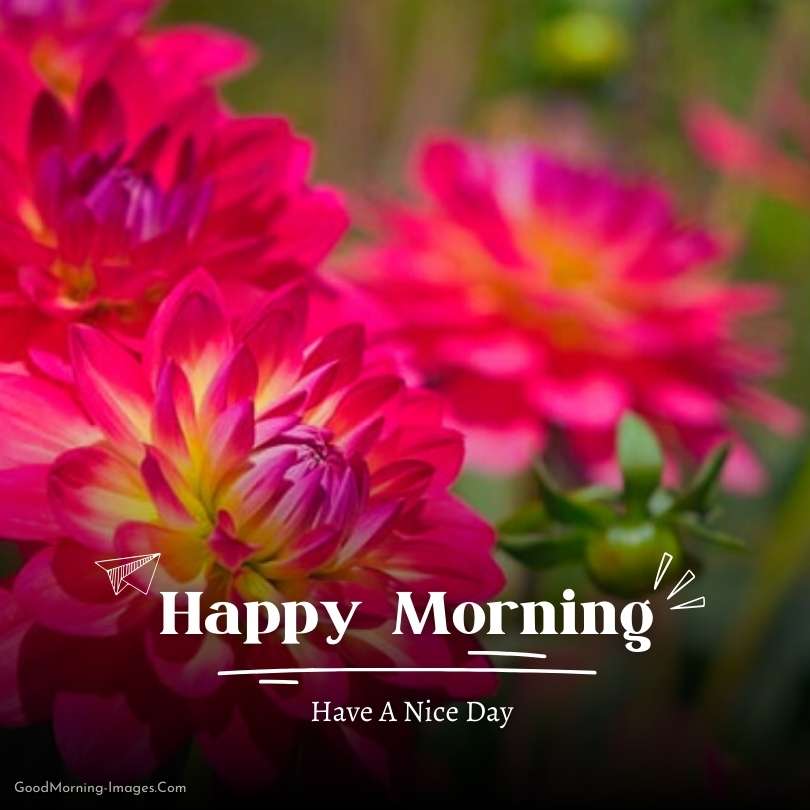 Happy Morning Images