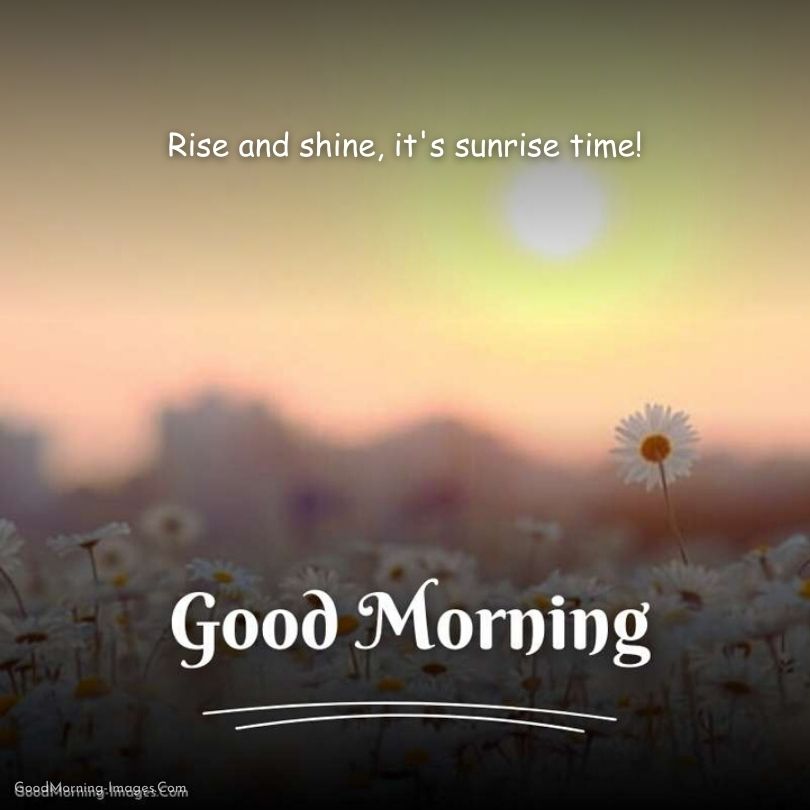 Inspirational Sunrise Quotes HD Pictures
