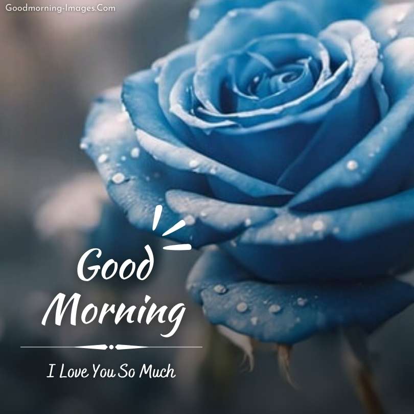 Good Morning My Love Images HD