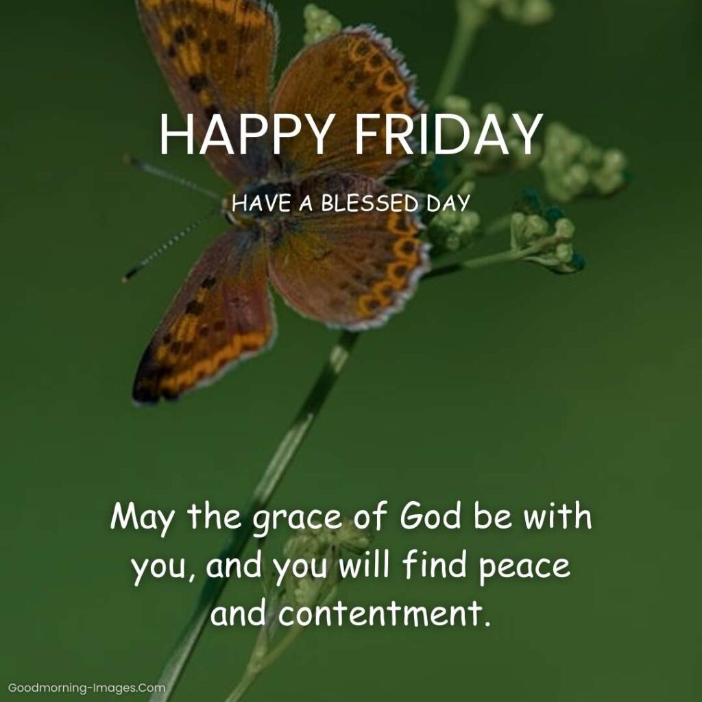 ᐅ100+ Happy Friday Blessings, Wishes, Quotes & Images