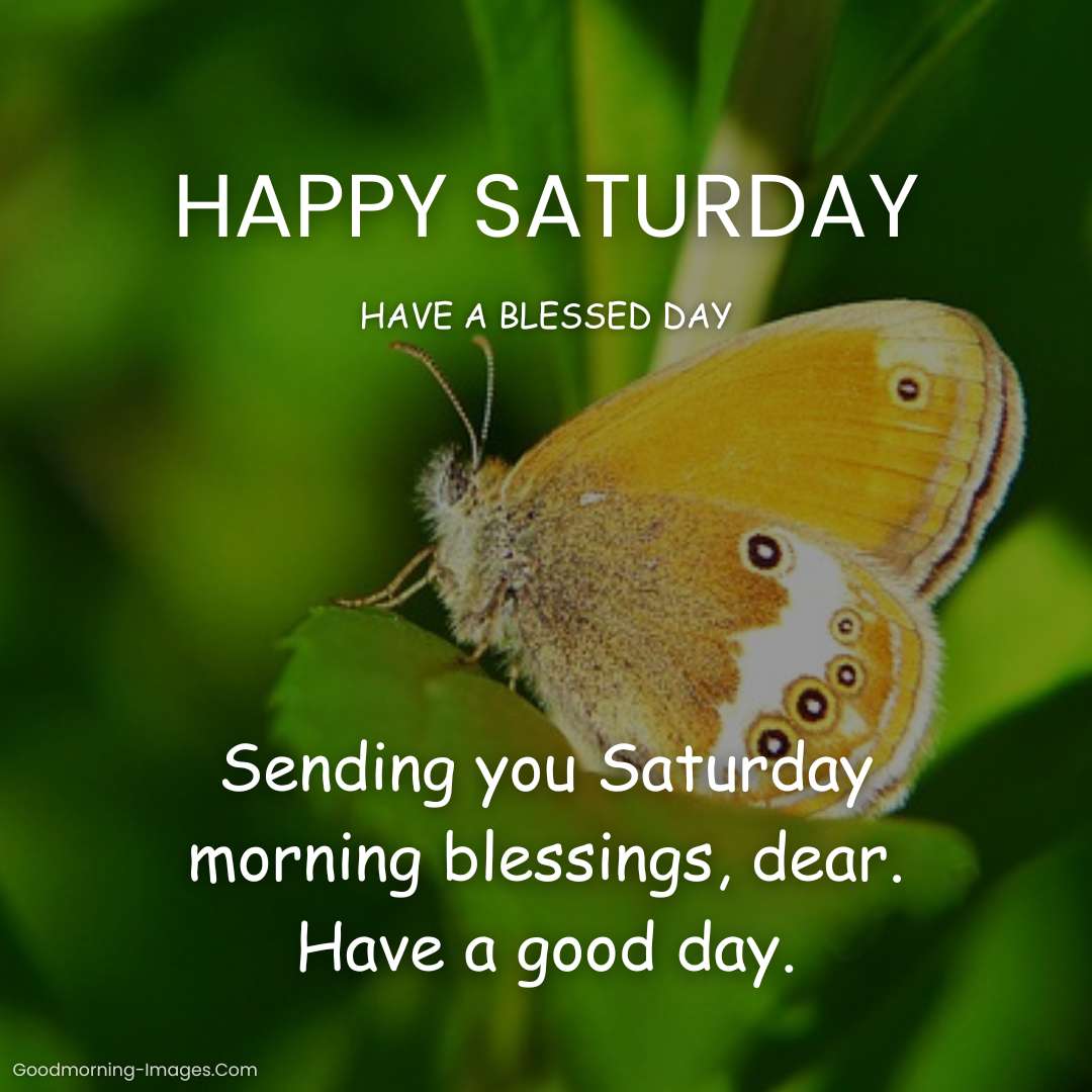 Happy Saturday Blessings