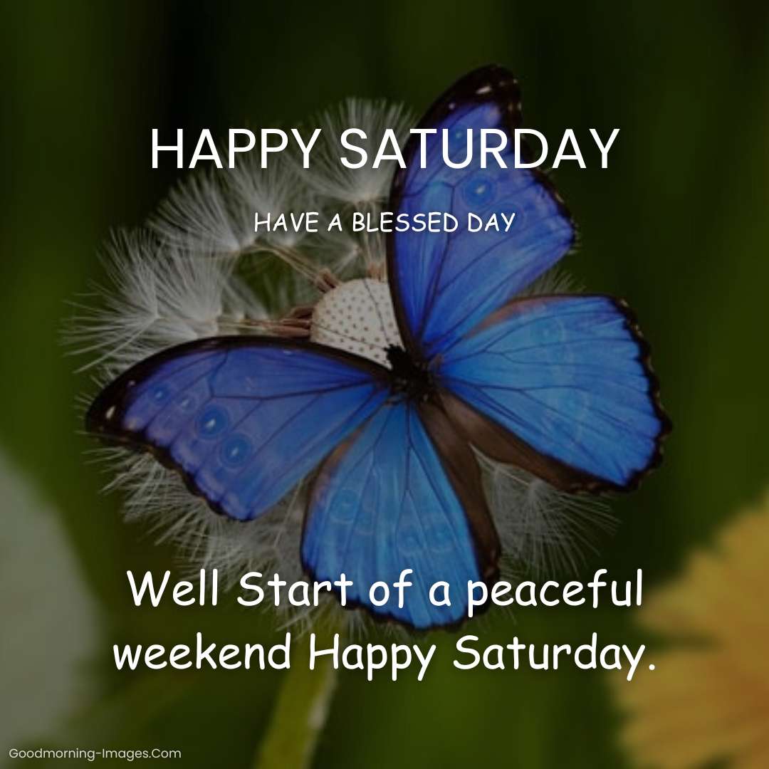 Happy Saturday Blessings