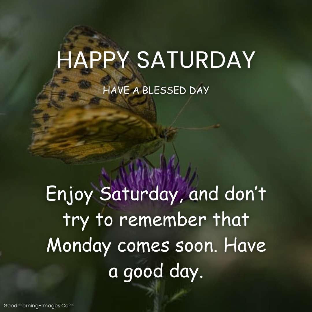 Happy Saturday Blessings