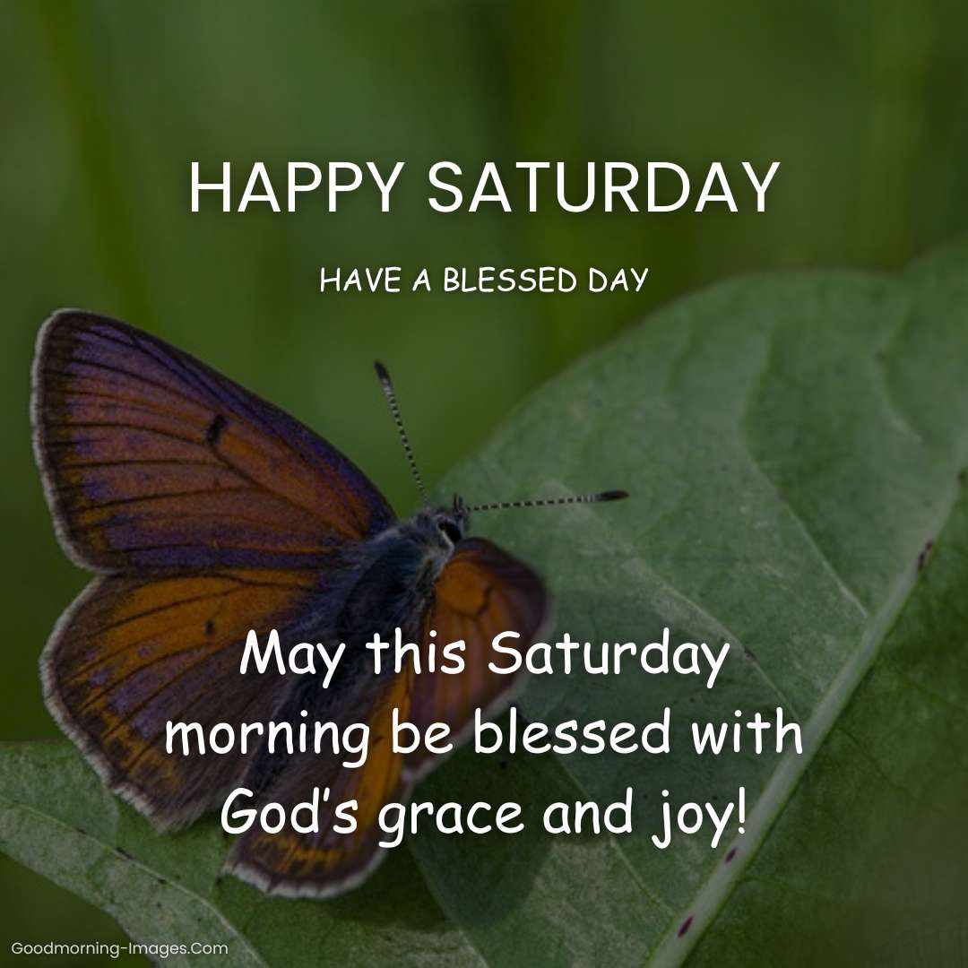 Happy Saturday Blessings