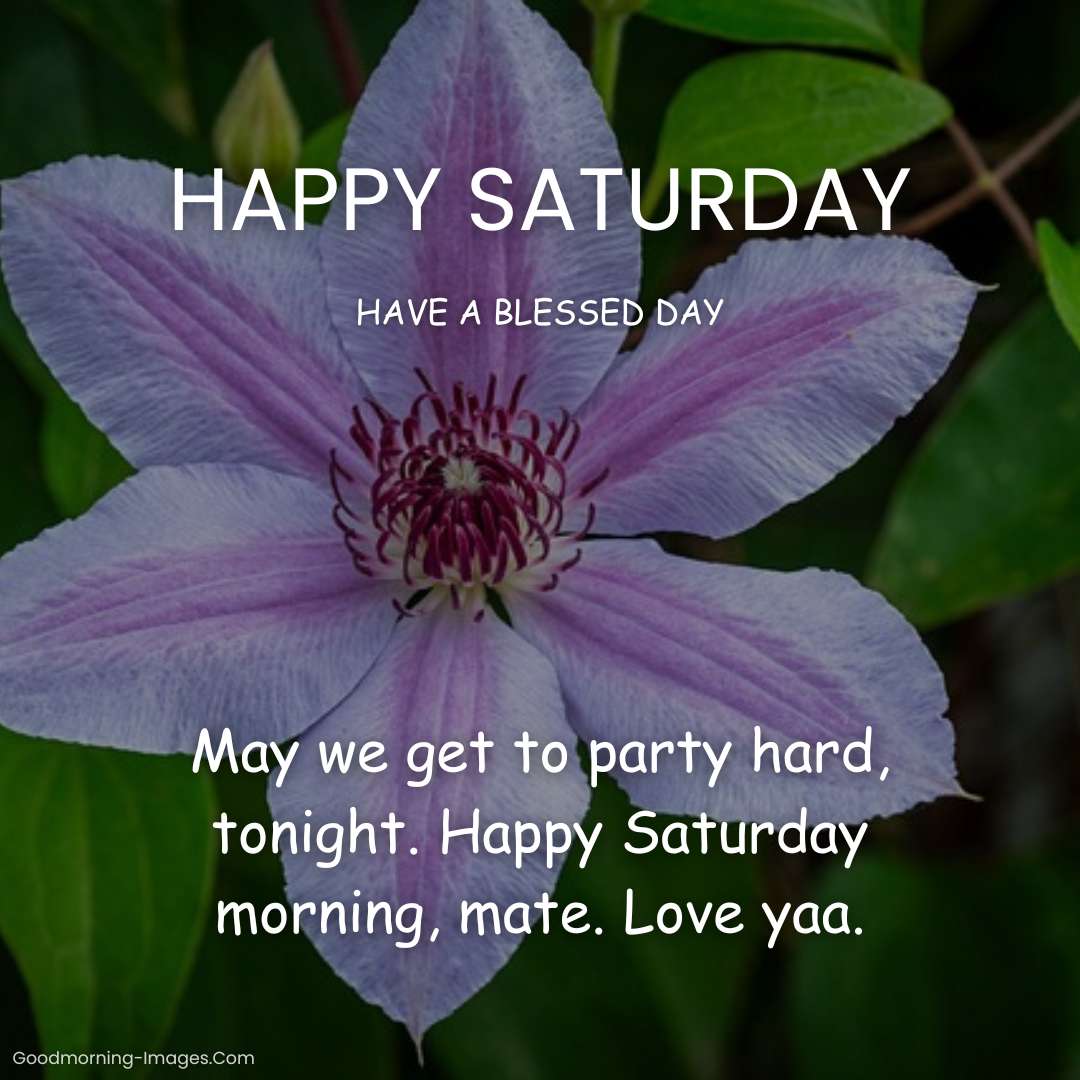 Happy Saturday Wishes