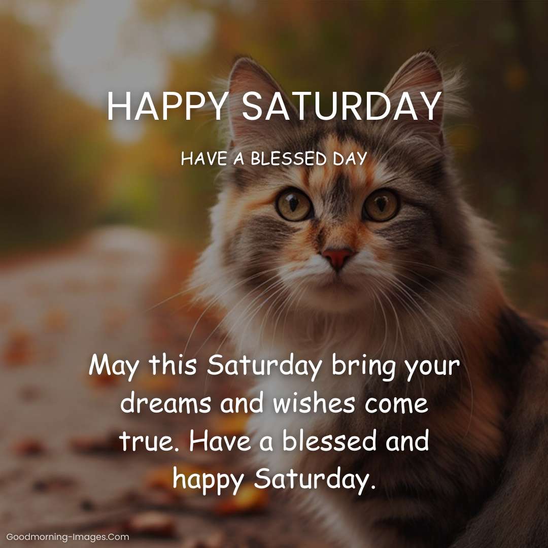 Happy Saturday Quotes