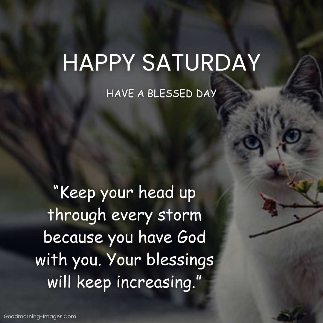 Happy Saturday Quotes