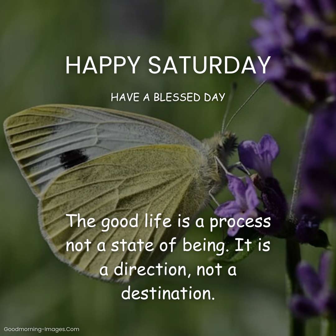 Happy Saturday Quotes