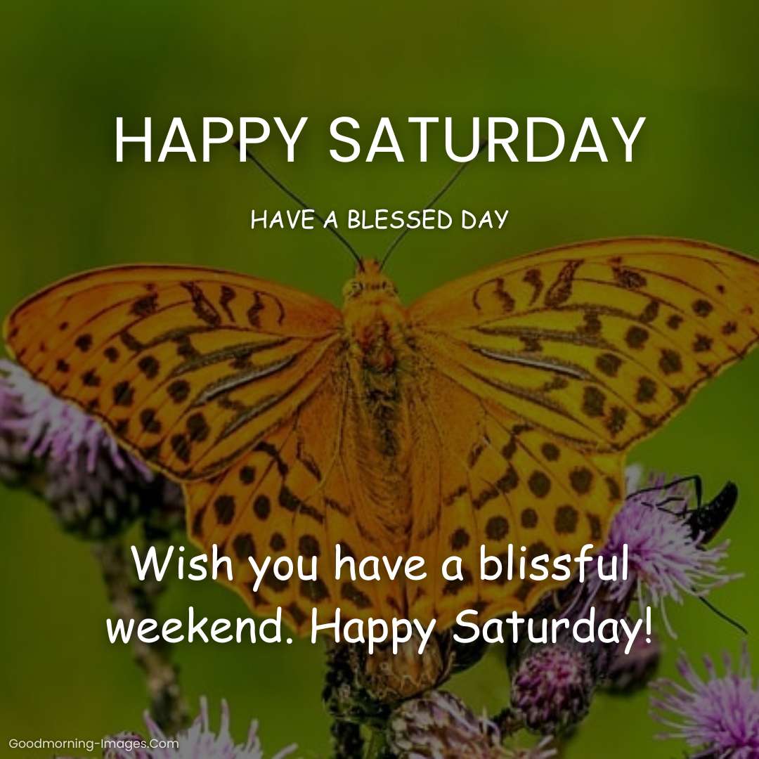 Happy Saturday Blessings