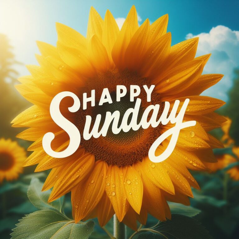 ᐅ Happy Sunday Quotes Wishes Messages Images