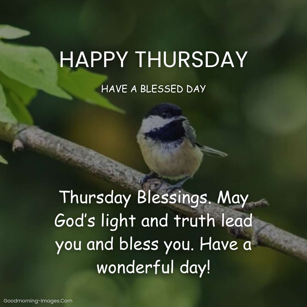 Happy Thursday Wishes
