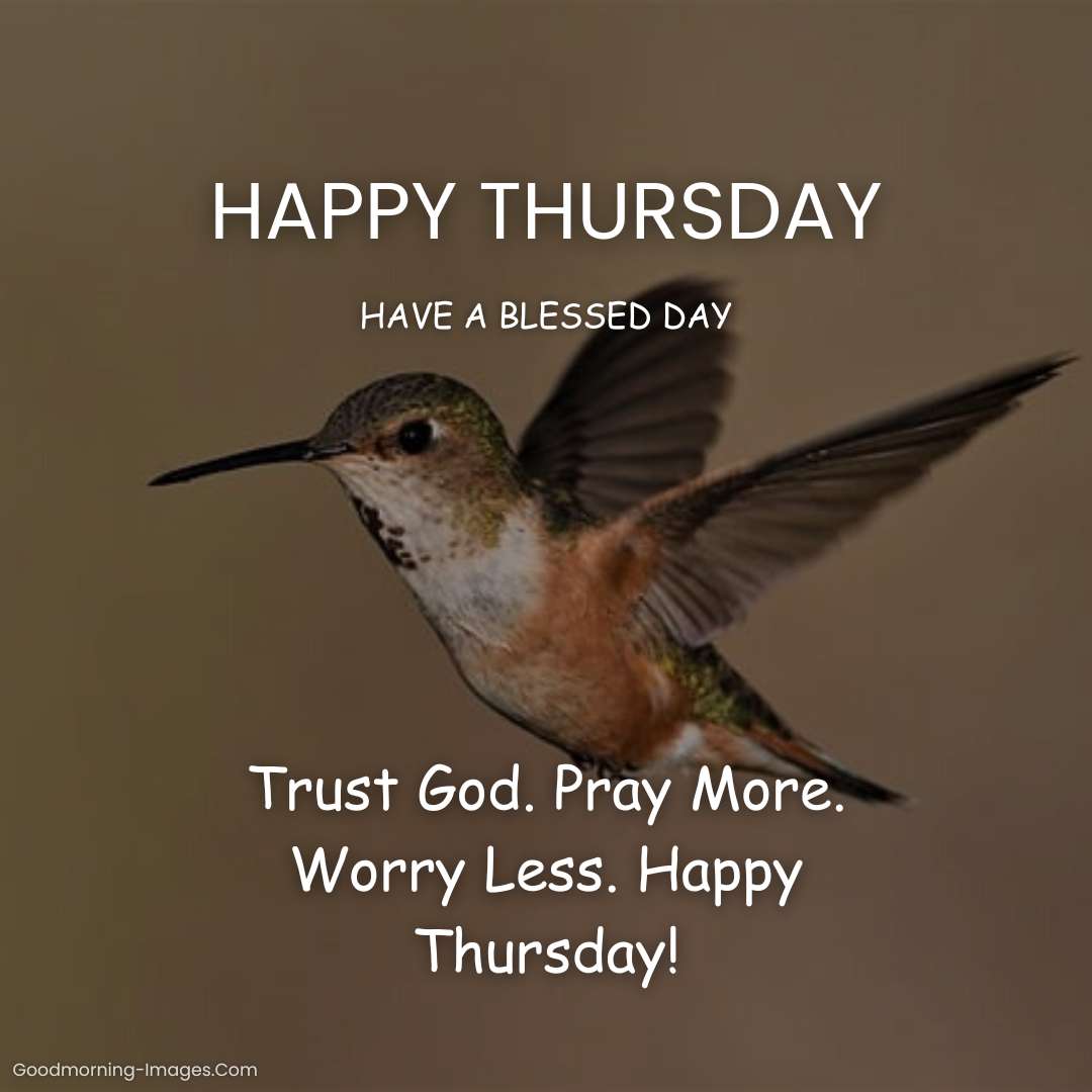 Happy Thursday Blessings