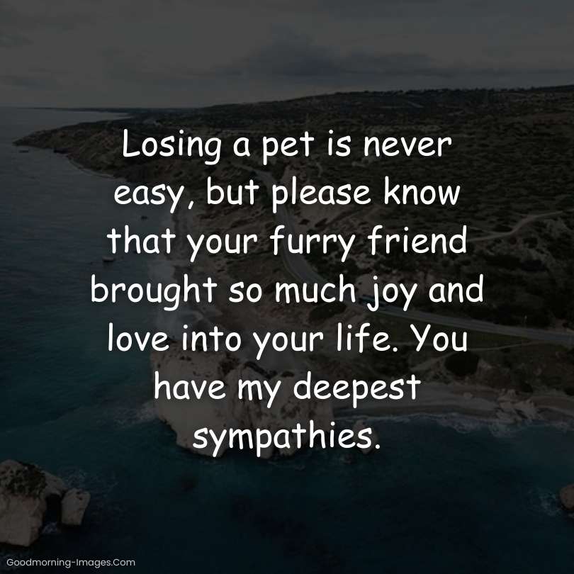 Condolence Images For Loss Pets