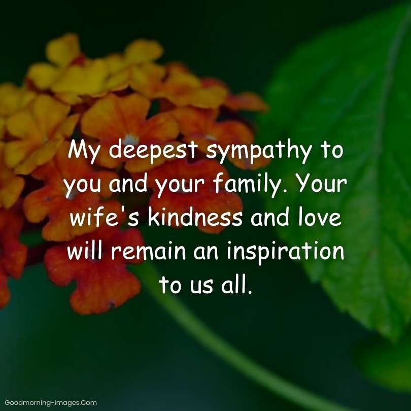 Sympathy Messages For Loss Wife